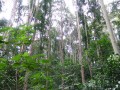 Tn 0936 DSC00111